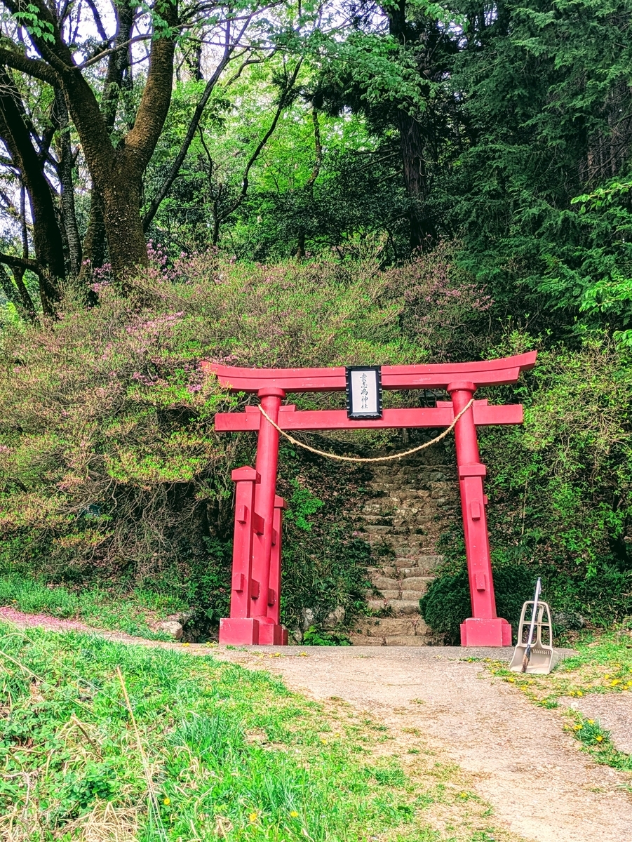 貴志嶋神社の赤い鳥居とミツバツツジ
