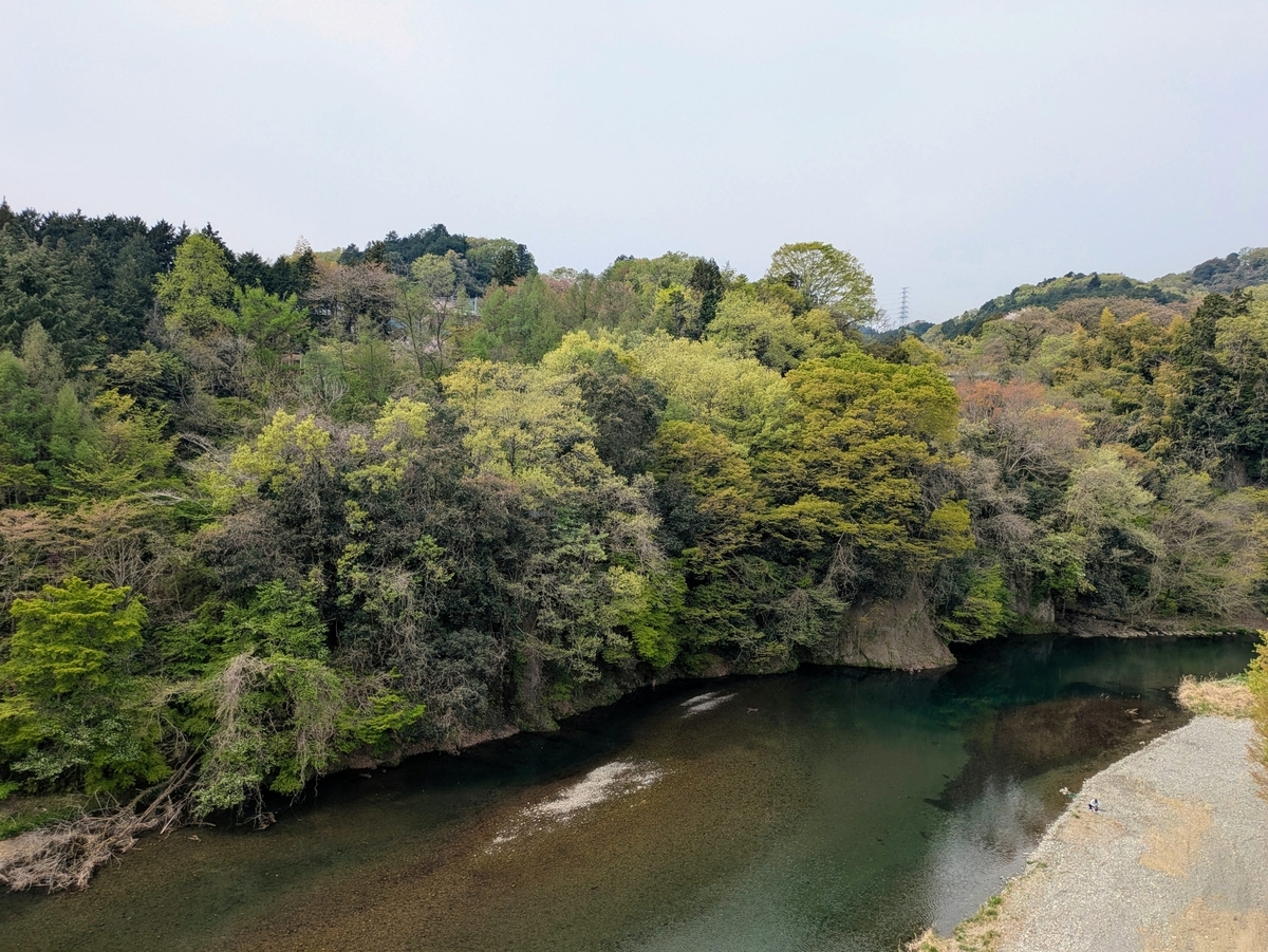 秋川と河原と生い茂る木々