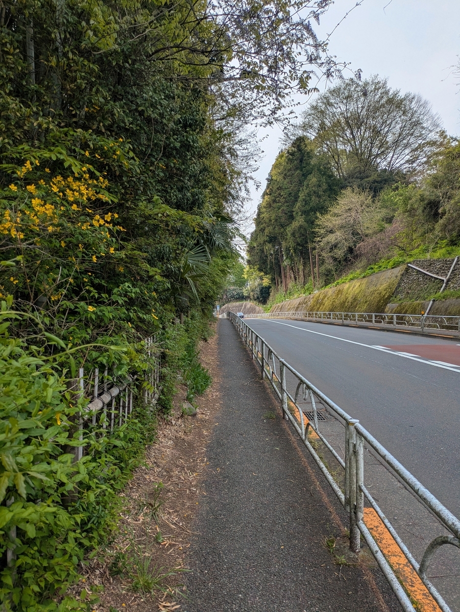 緑に囲まれた秋川街道