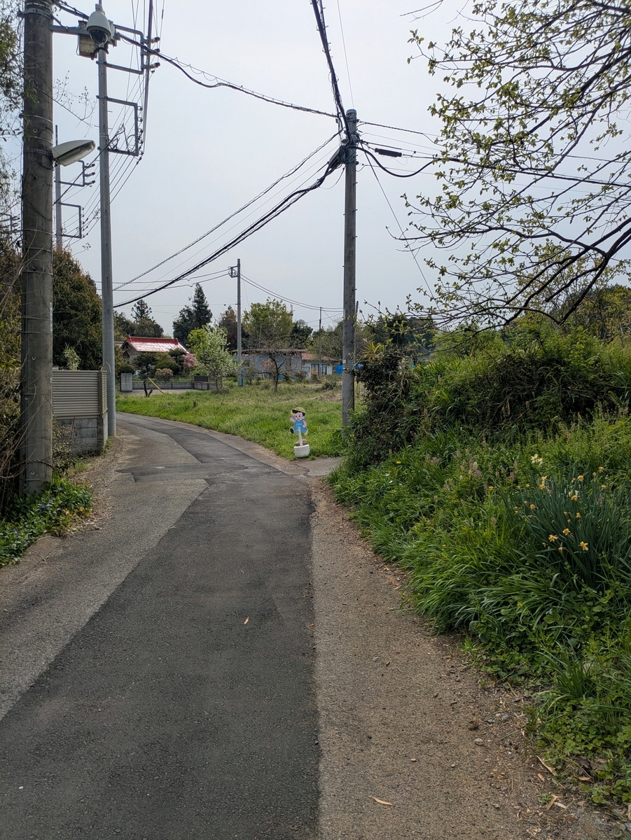 畑の前を走る舗装された道
