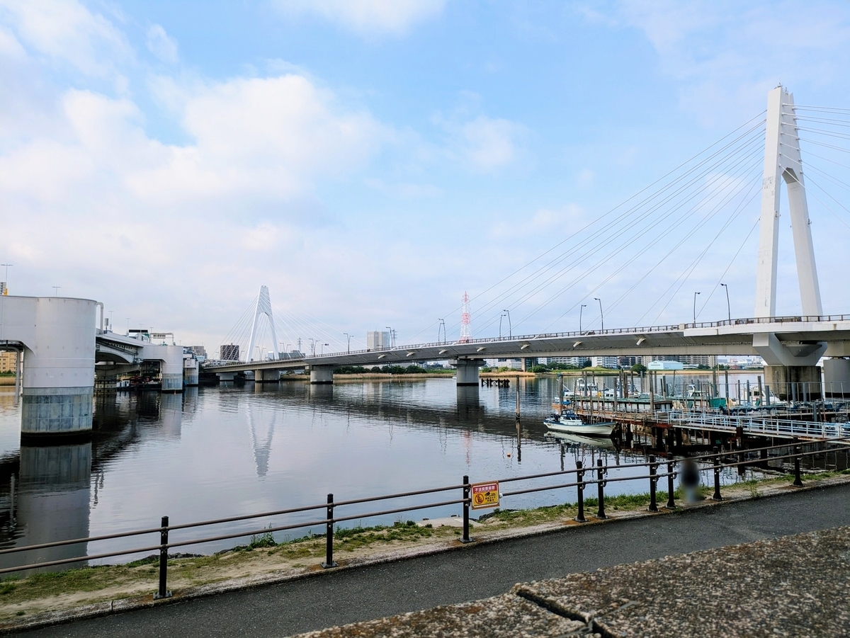 多摩川左岸、首都高1号羽田線高速大師橋と大師橋の間から見た風景