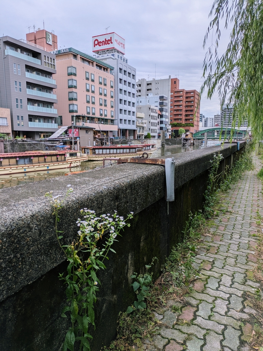 神田川沿いの柳の垂れている歩道と屋形船