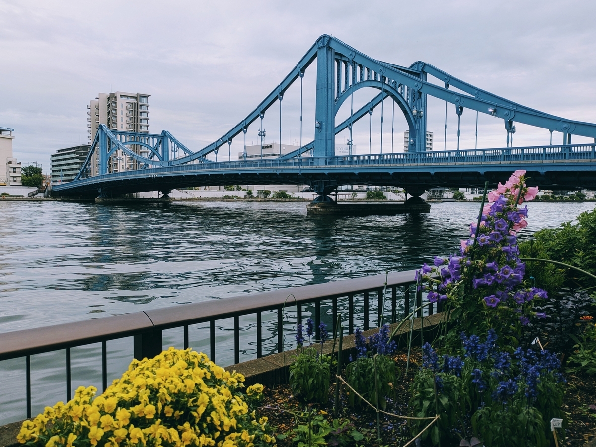 花壇の花越しに写る青い清洲橋