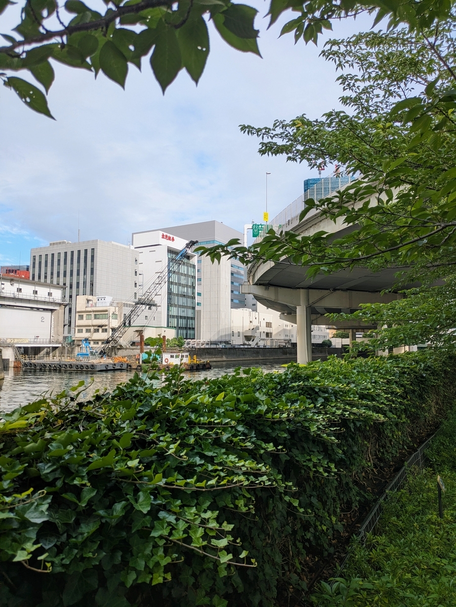 白い日本橋水門と日本橋川、川の上をカーブしていく首都高