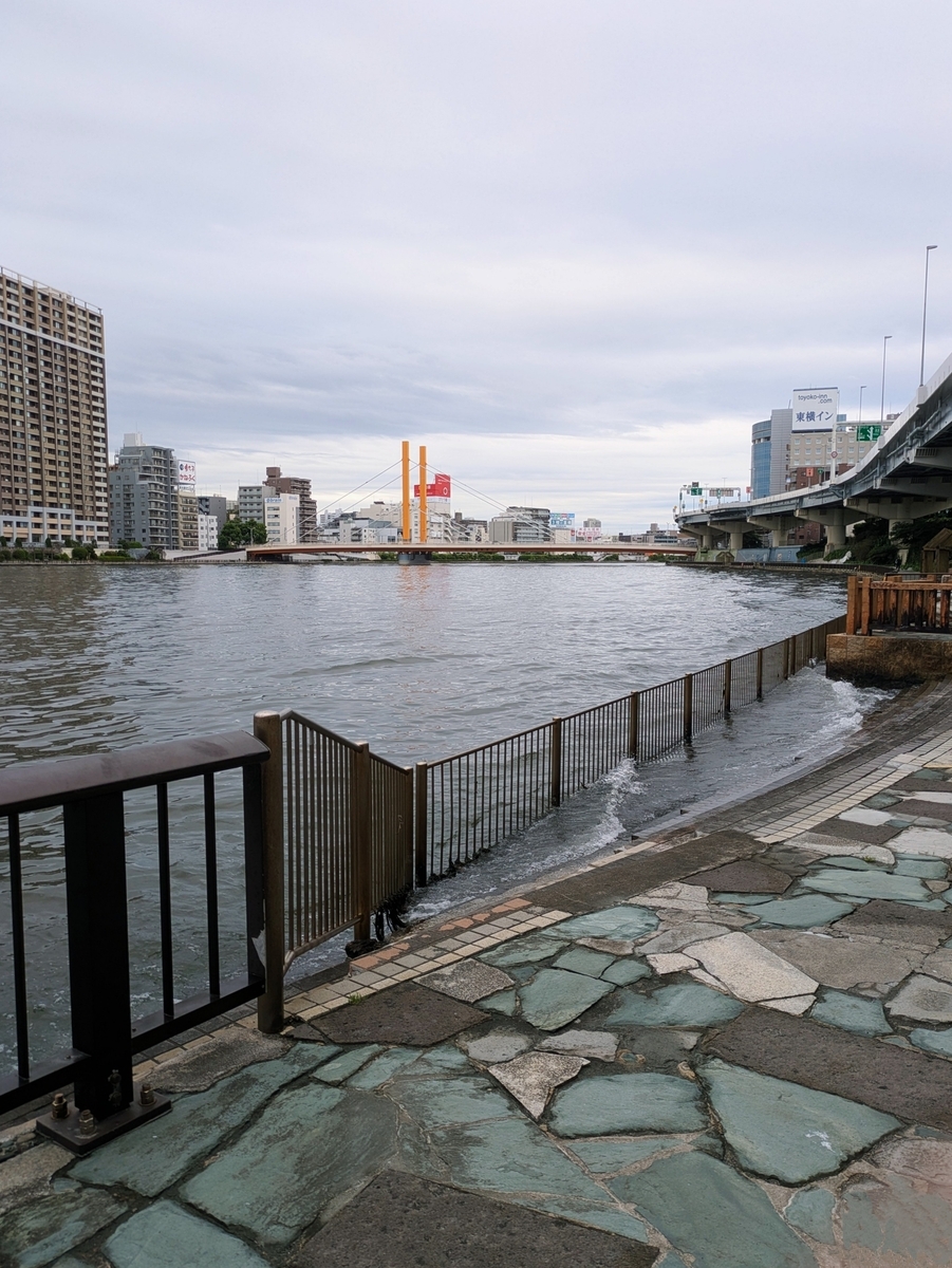 隅田川テラスに押し寄せる波と奥に写るオレンジ色の新大橋