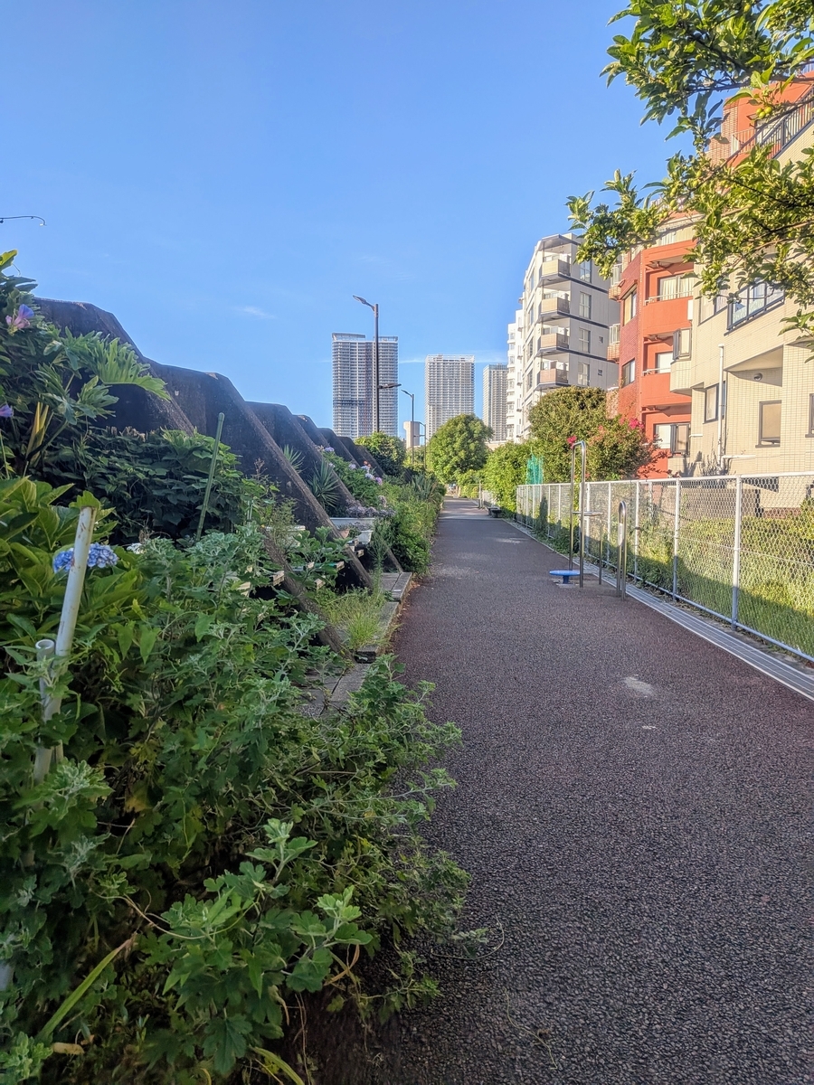 堤防内側の道