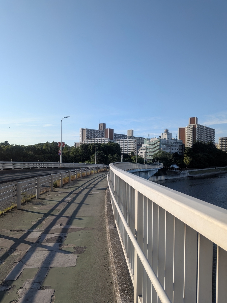 カーブしながら八潮へ伸びる八潮橋