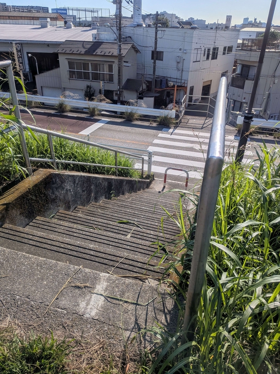 新荒川堤防線を渡る横断歩道