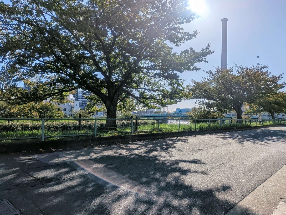 旧中川上流側右岸の歩道から見たゆりのき橋