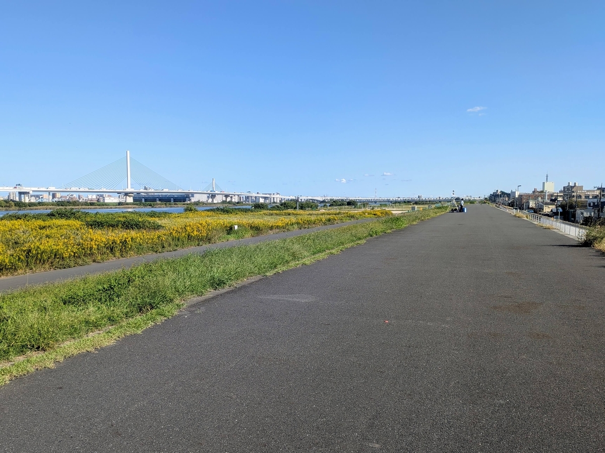 荒川の河川敷とかつしかハープ橋