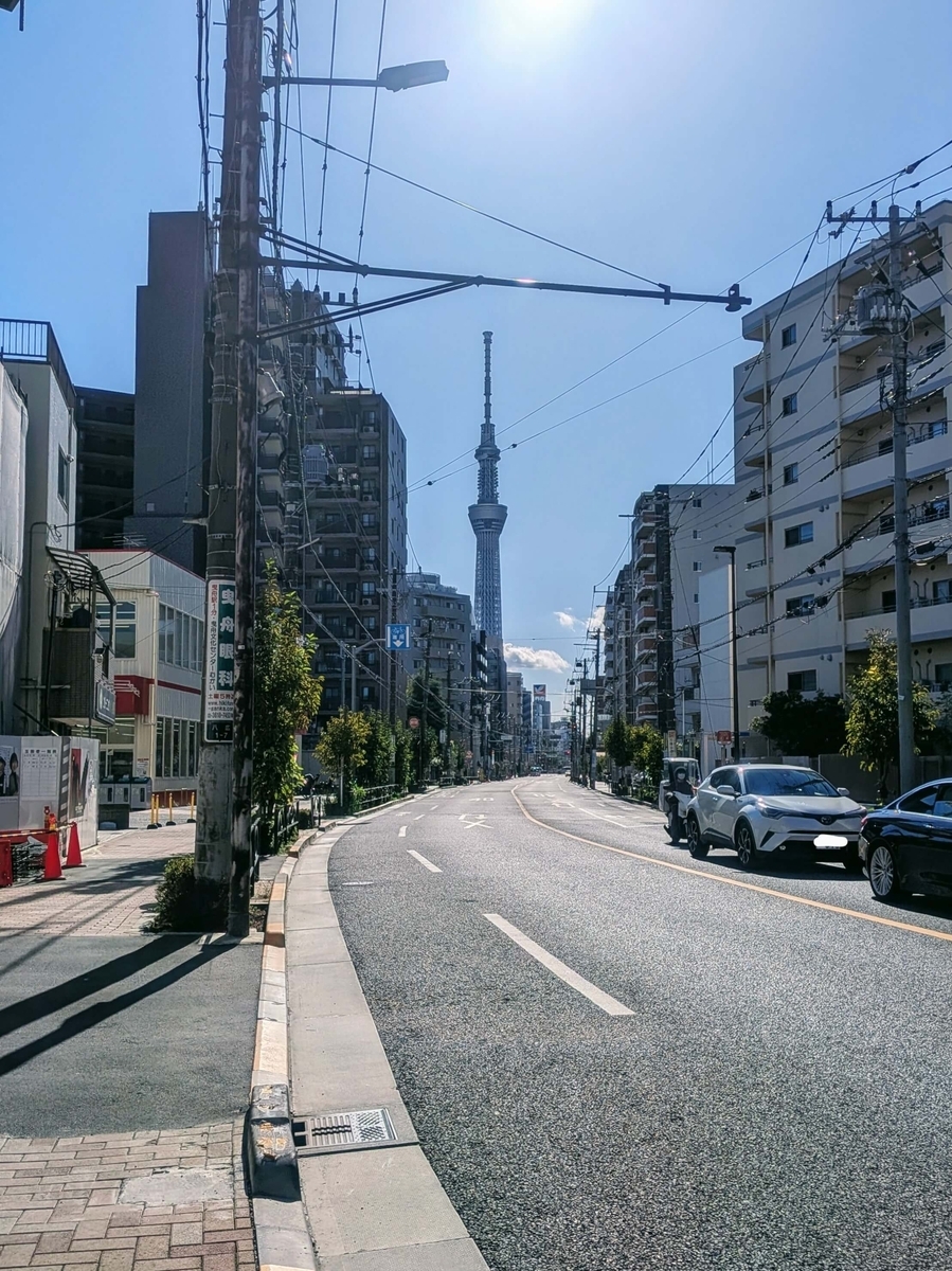 長浦神社南から見たスカイツリー