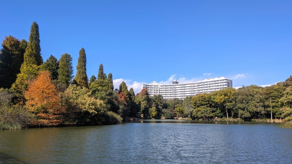 七井橋から見る秋の井の頭池