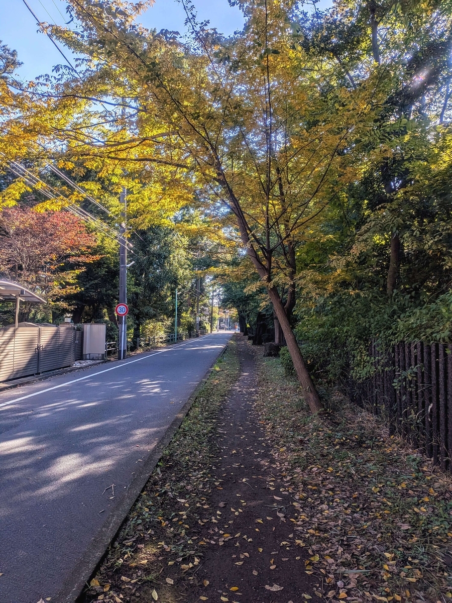 玉川上水緑道 そろそろ三鷹駅北口付近