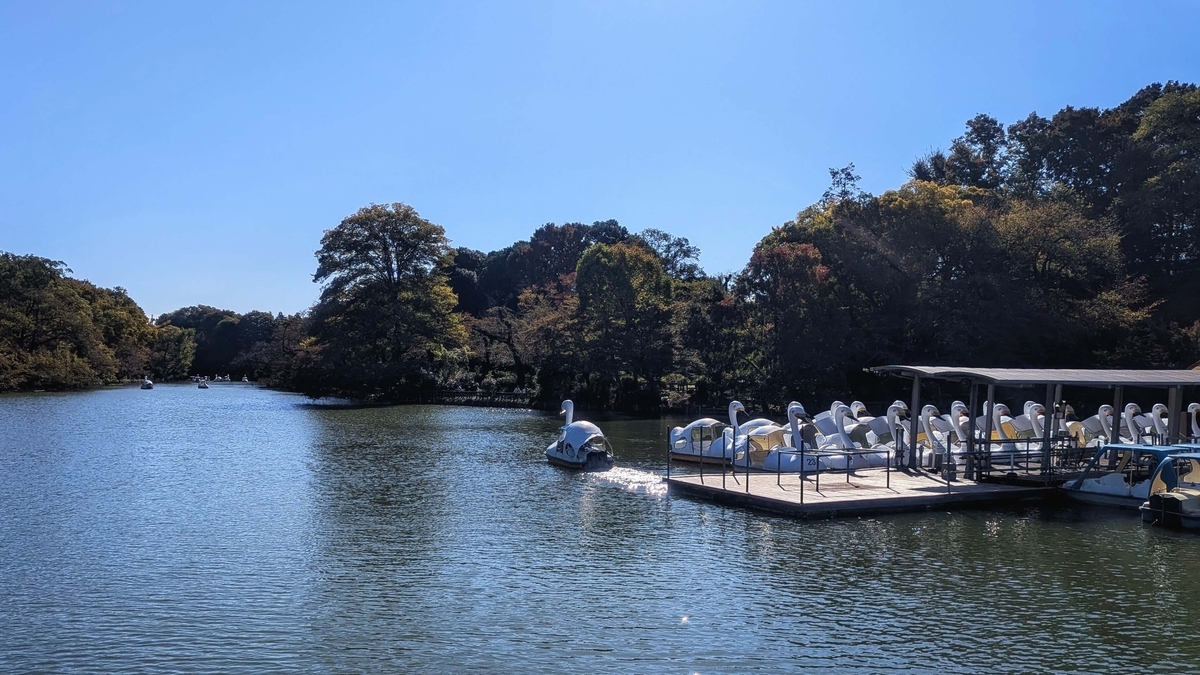井の頭公園 井の頭池とスワンボート