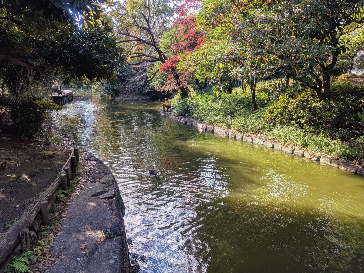 平和の森公園ひょうたん池