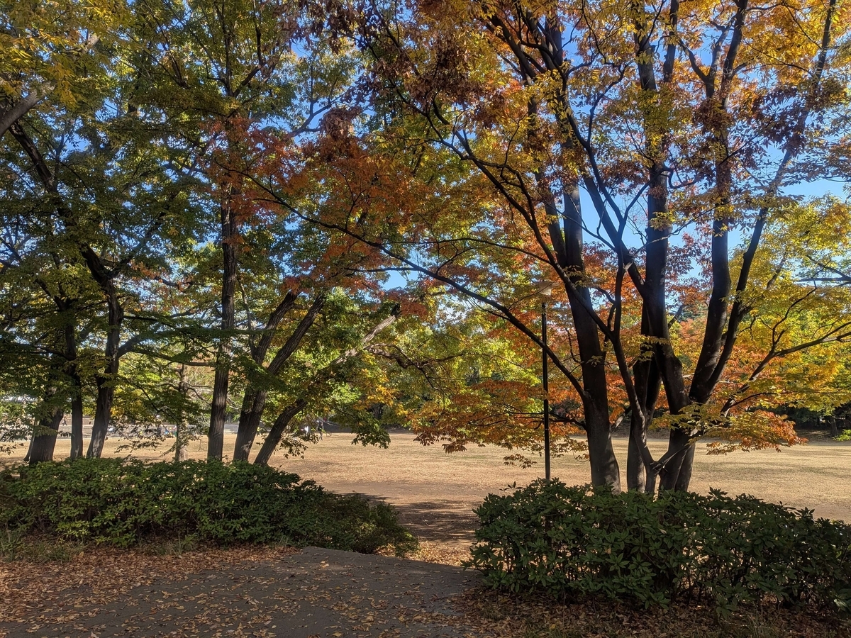 平和の森公園 平和の広場
