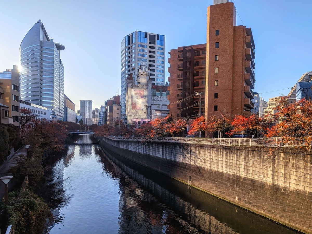 新目黒橋から見る桜紅葉に彩られた朝の目黒川下流方面