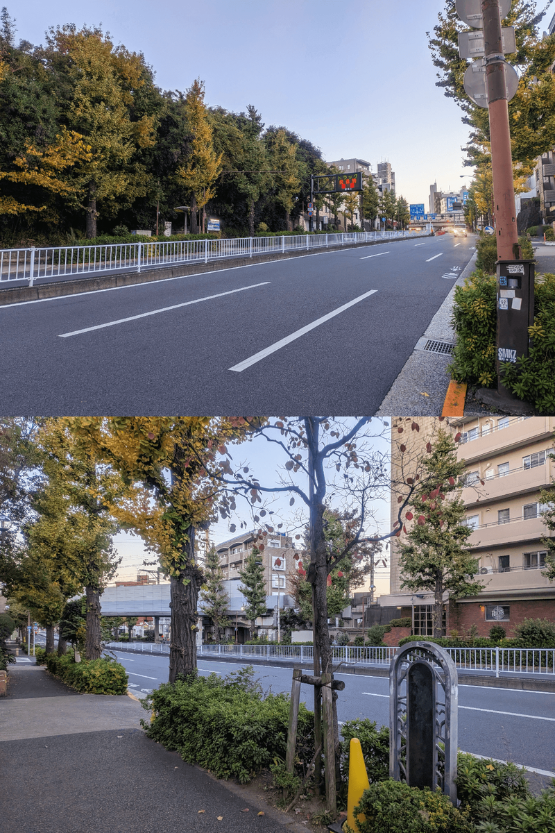 坂の途中から見る柿の木坂下側と上側