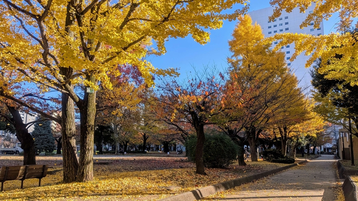 錦糸公園の黄色く色づいたイチョウ
