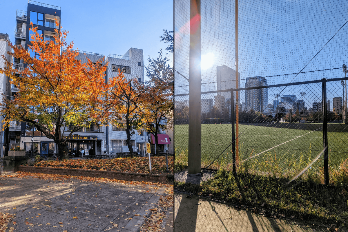 錦糸公園 南東入口の紅葉と野球場