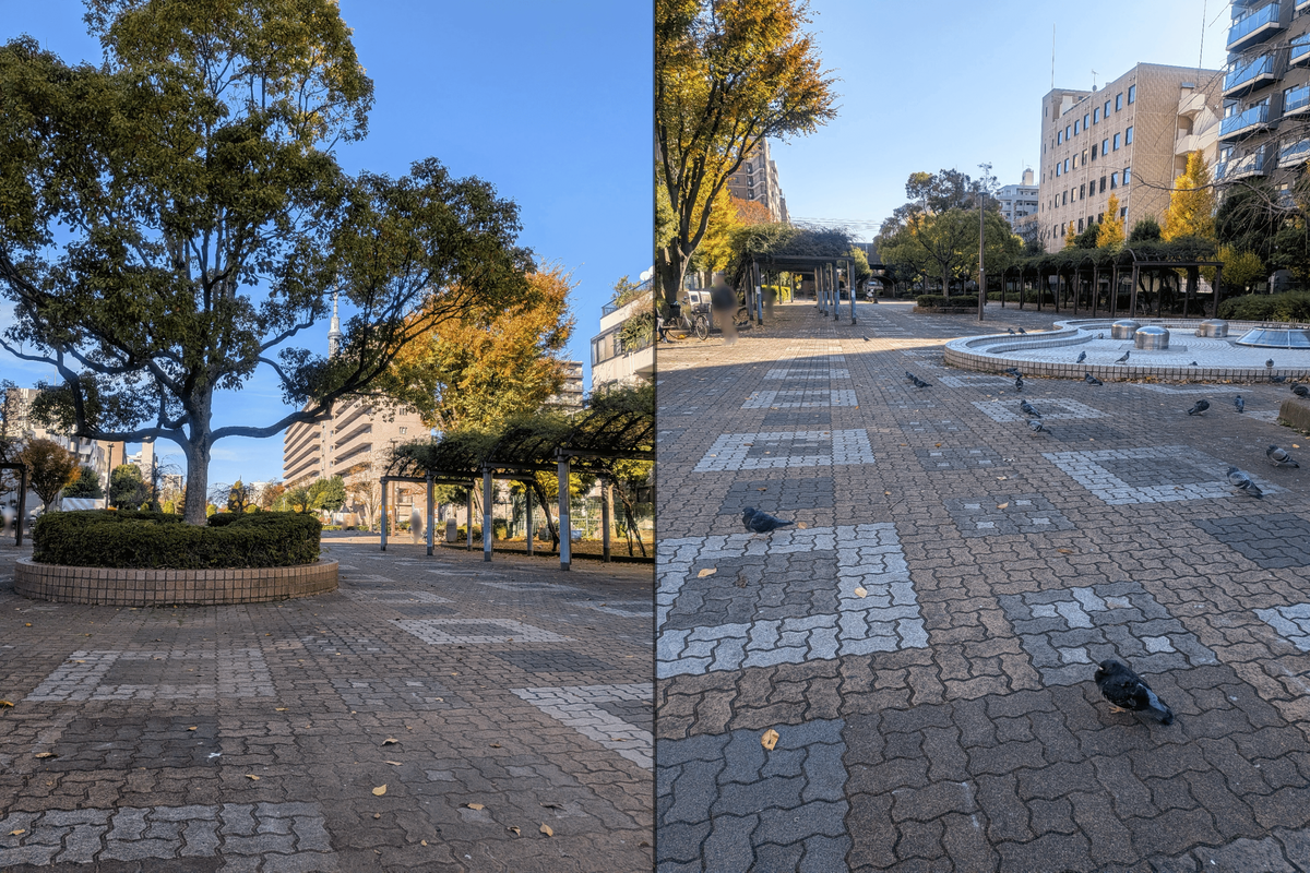 大横川親水公園 長崎橋跡付近の鳩