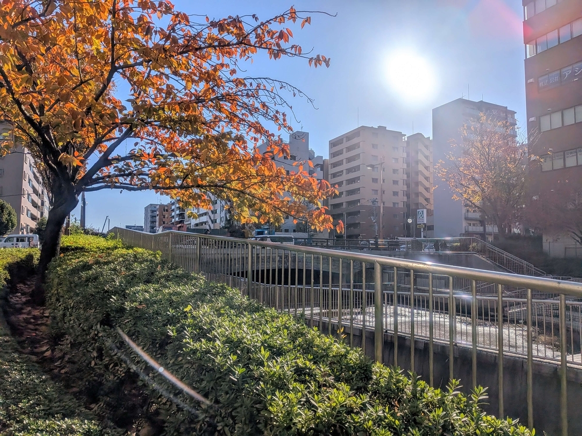 大横川親水公園 江東橋北側