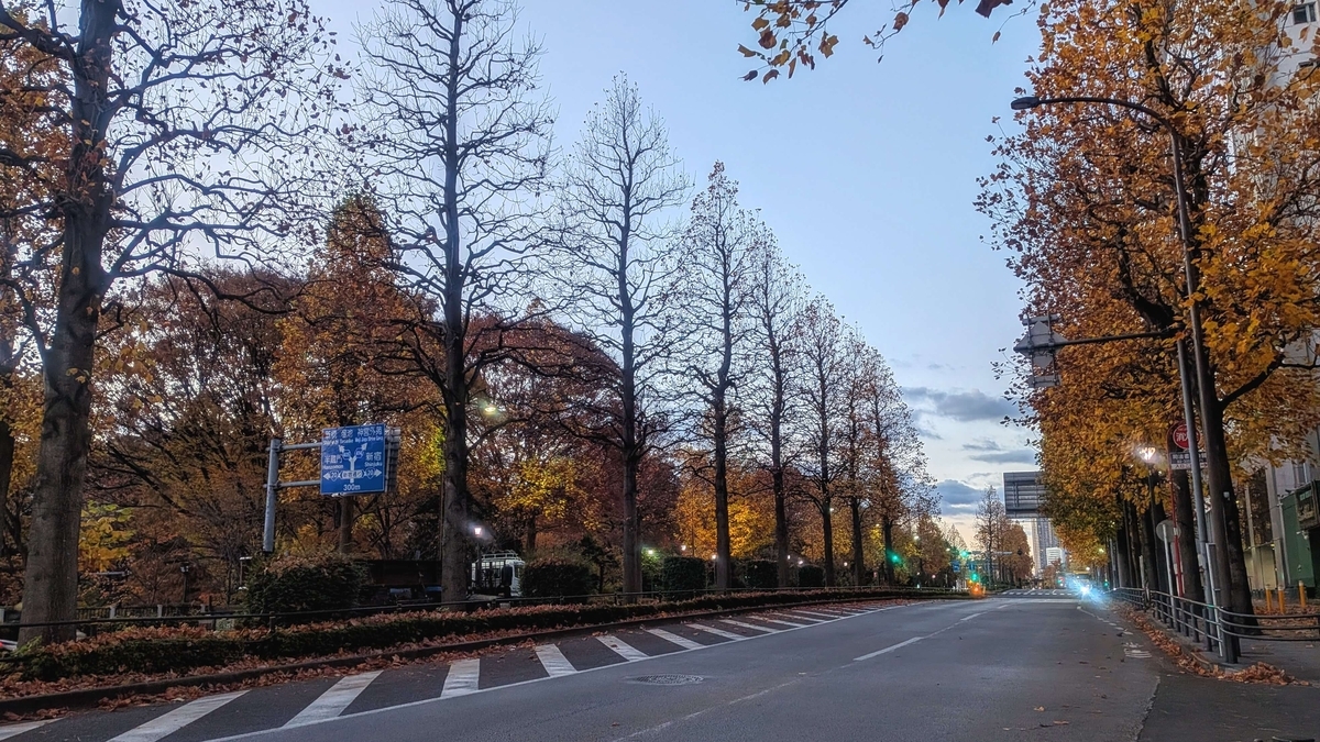 紅葉に縁取られた外堀通り