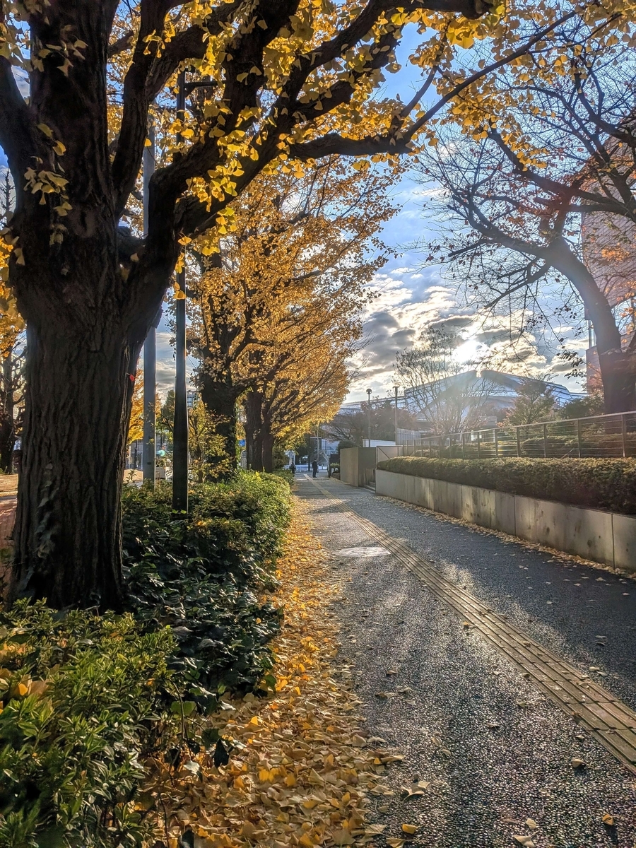 千駄ヶ谷駅前の歩道