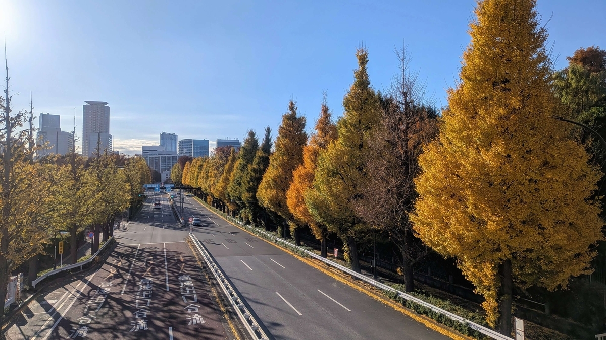 夜明けの四谷・外苑散歩！信濃町から新宿の谷と尾根を歩いてきたよ
