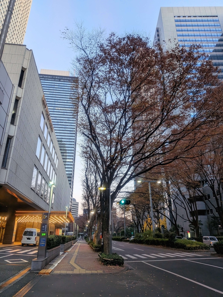 東通り 京王プラザホテル前