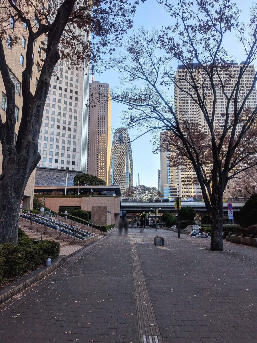 新宿副都心4号街路 中央通り