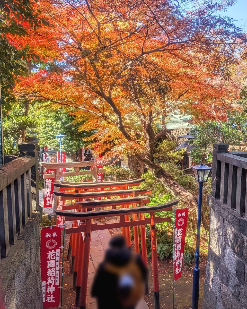花園稲荷神社裏参道 稲荷坂