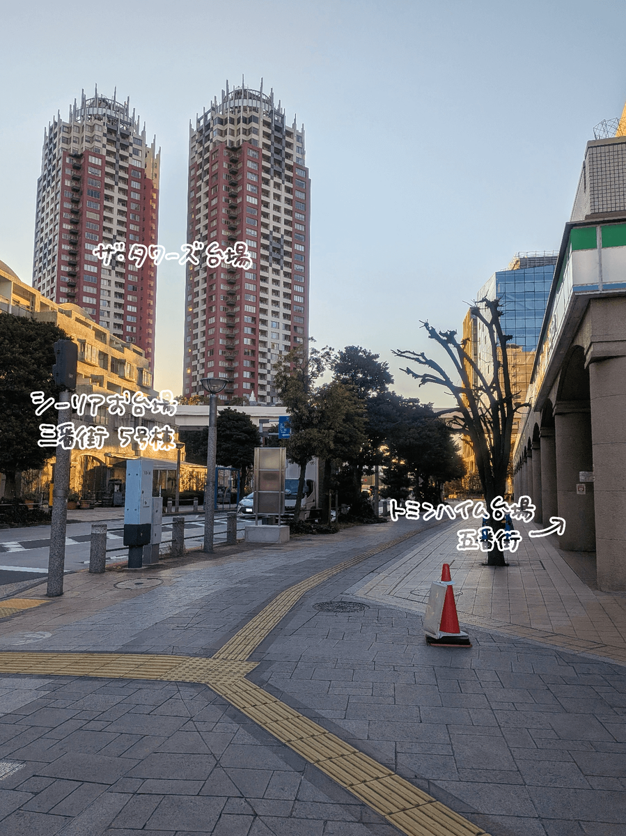 台場一丁目のマンション群とザ・タワーズ台場