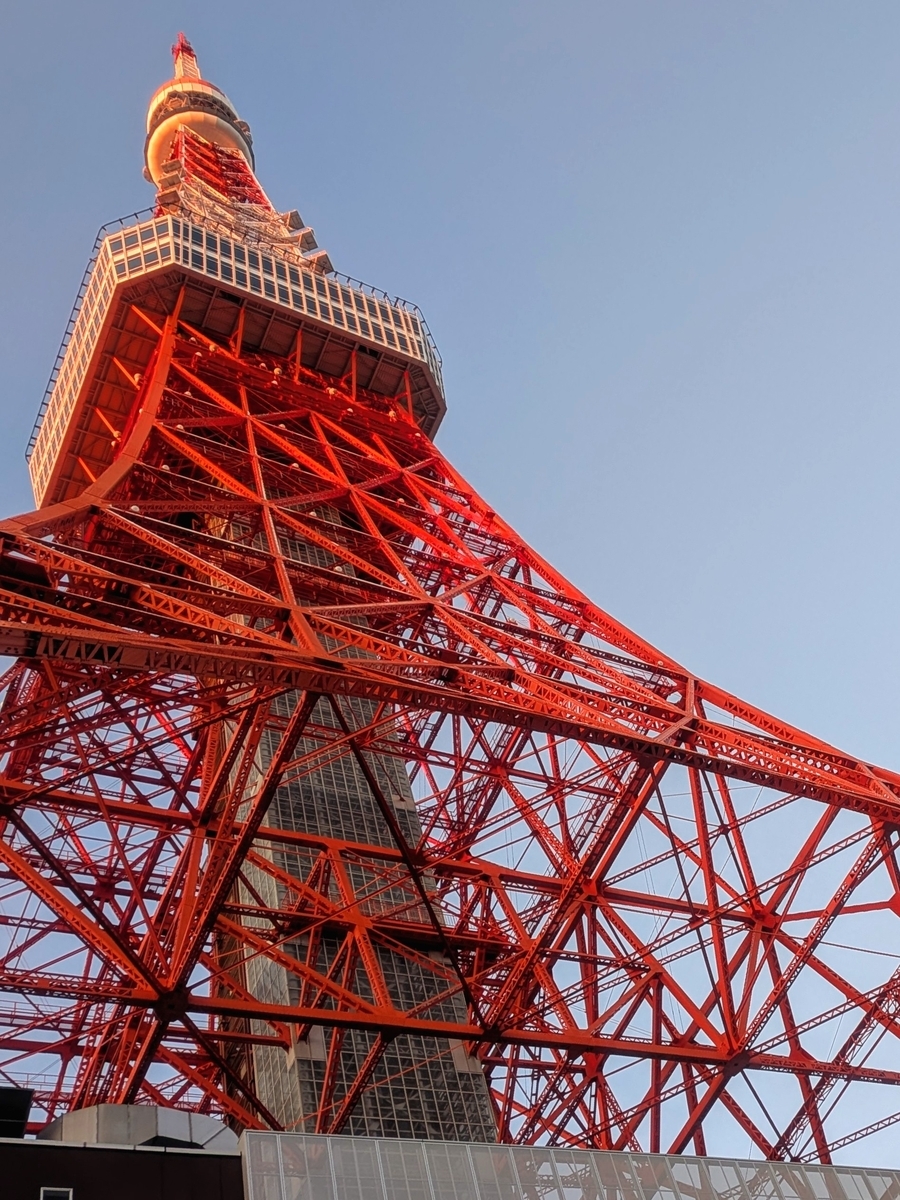 足元から見た朝の東京タワー