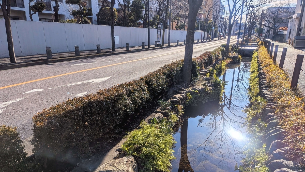 冬の小岩用水緑道