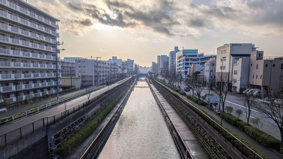 柳島歩道橋から見る墨田、江東の街(東側)