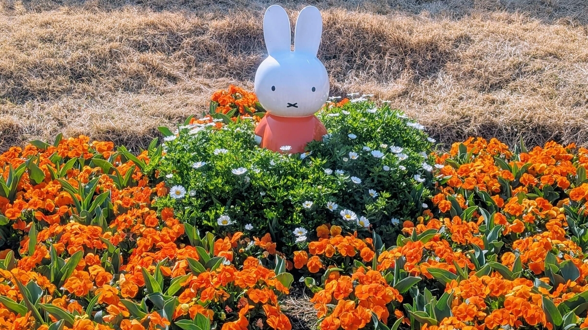 東品川海上公園 ミッフィーお花のひろばのともだち花壇