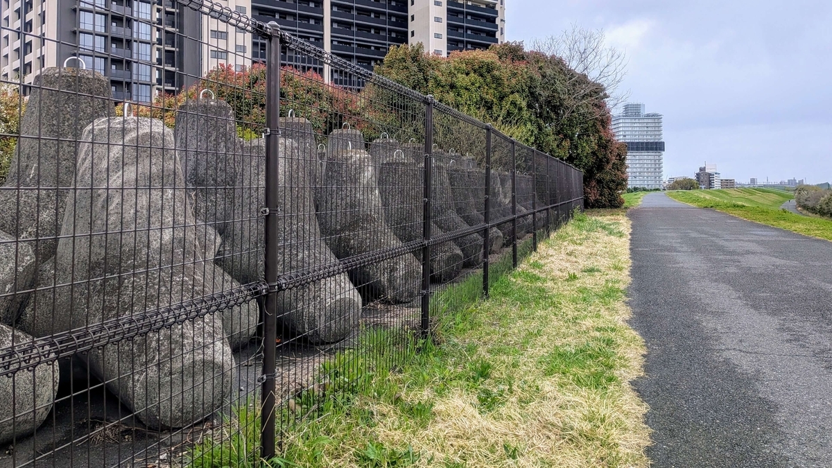 荒川土手とフェンスの向こうに整然と並ぶ根固めブロック