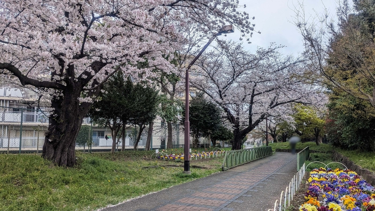 赤羽緑道公園 都営赤羽西五丁目アパート9号棟付近