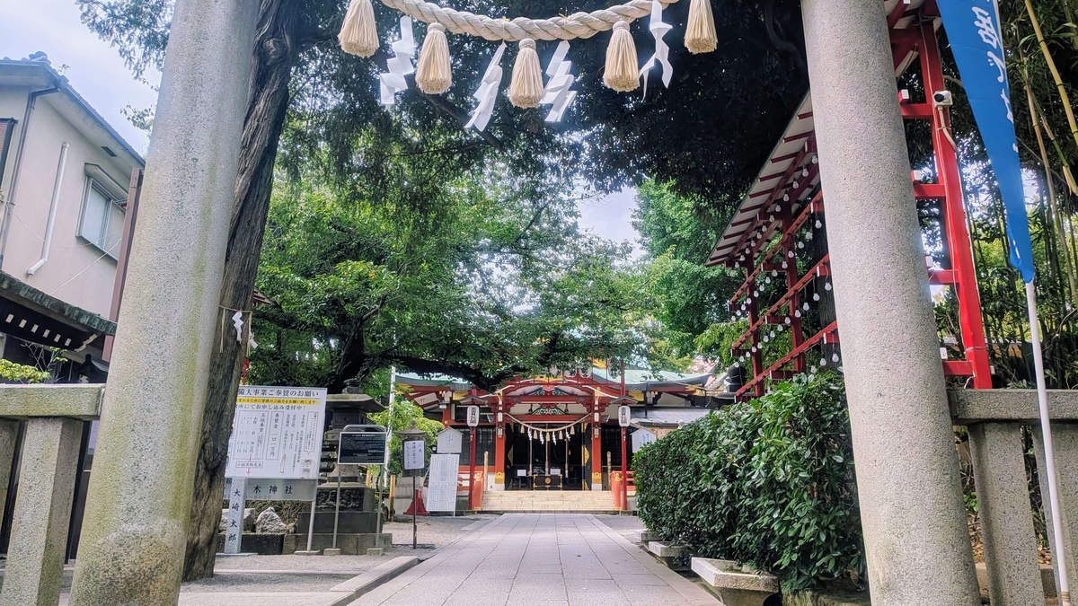鳥居越しに見る居木神社の朱×白×緑色の拝殿