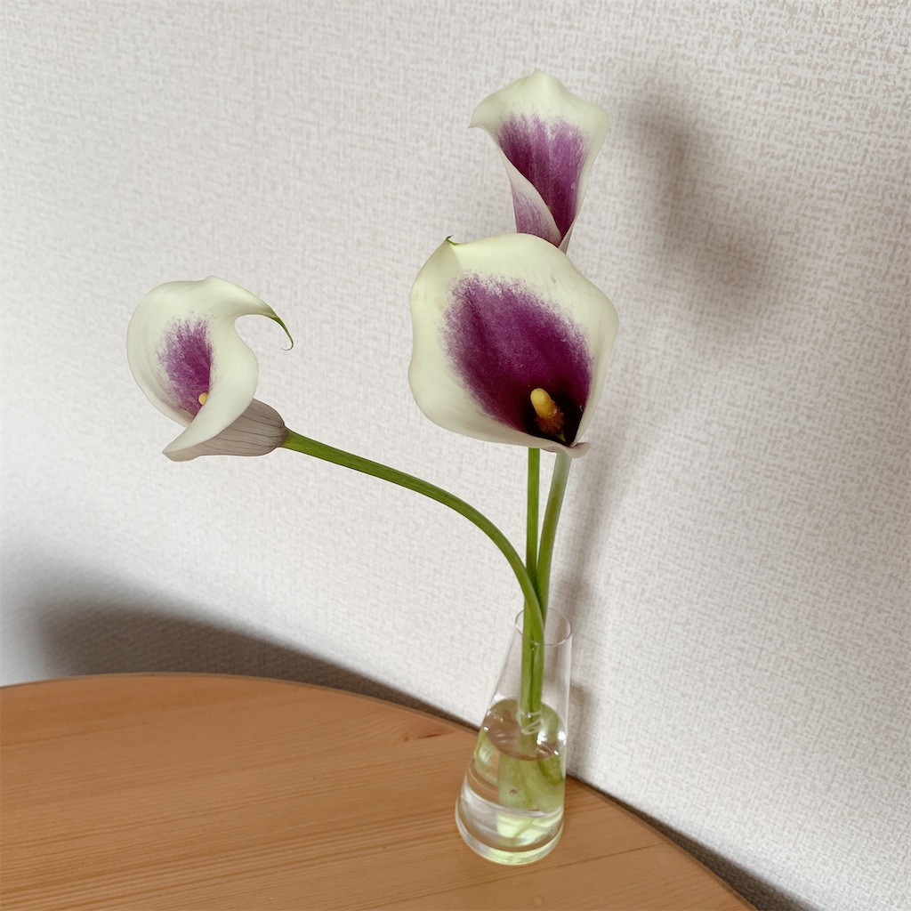 f:id:mnmiso2:20211202181943j:image f:id:mnmiso2:20211202181943j:image