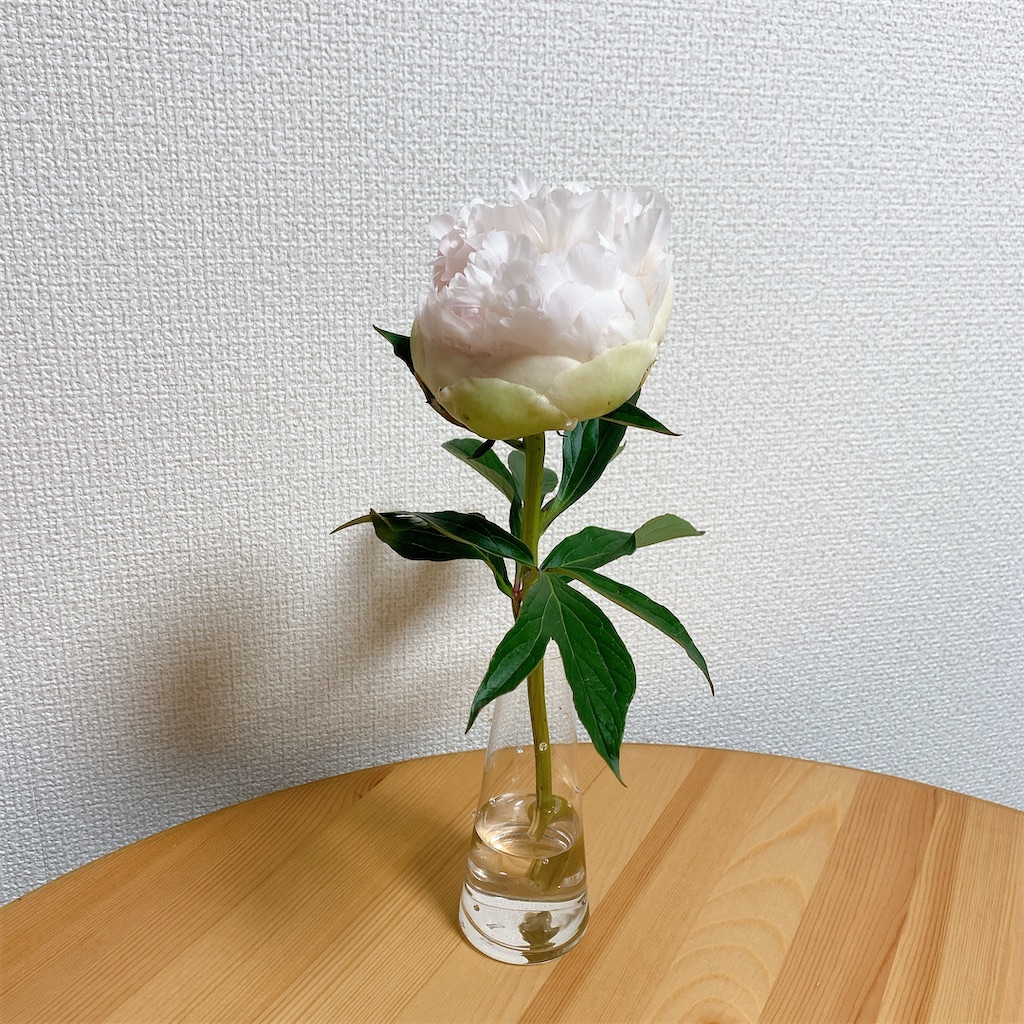 f:id:mnmiso2:20211202181948j:image f:id:mnmiso2:20211202181948j:image