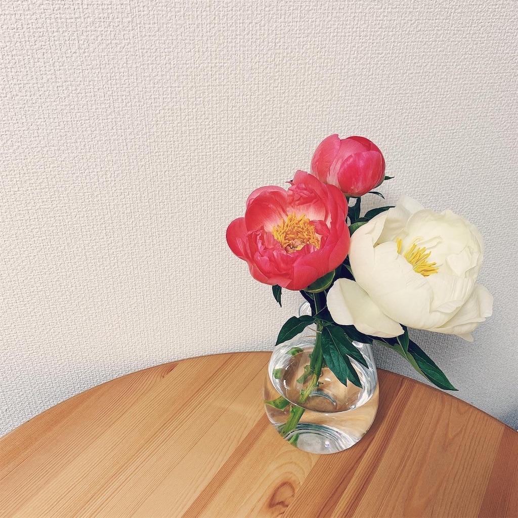 f:id:mnmiso2:20211202182012j:image f:id:mnmiso2:20211202182012j:image