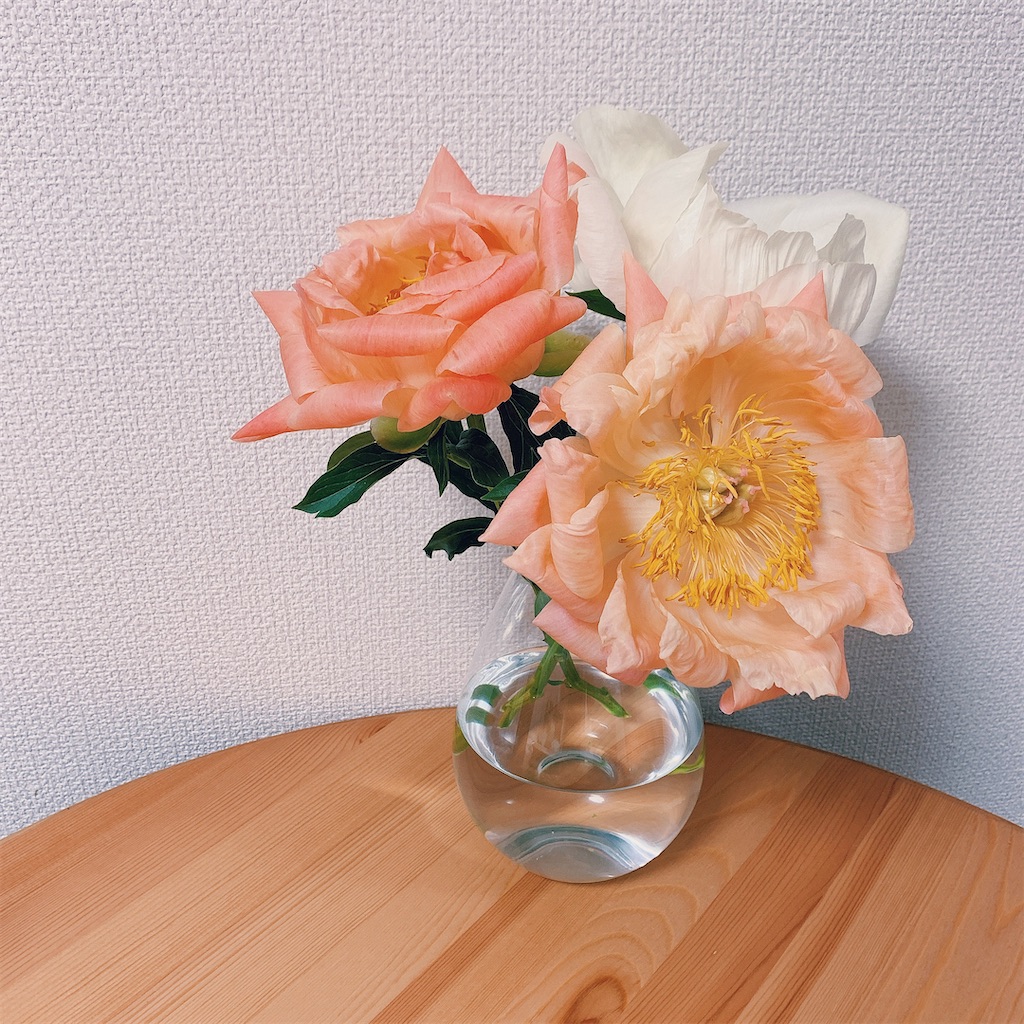 f:id:mnmiso2:20211202182015j:image f:id:mnmiso2:20211202182015j:image