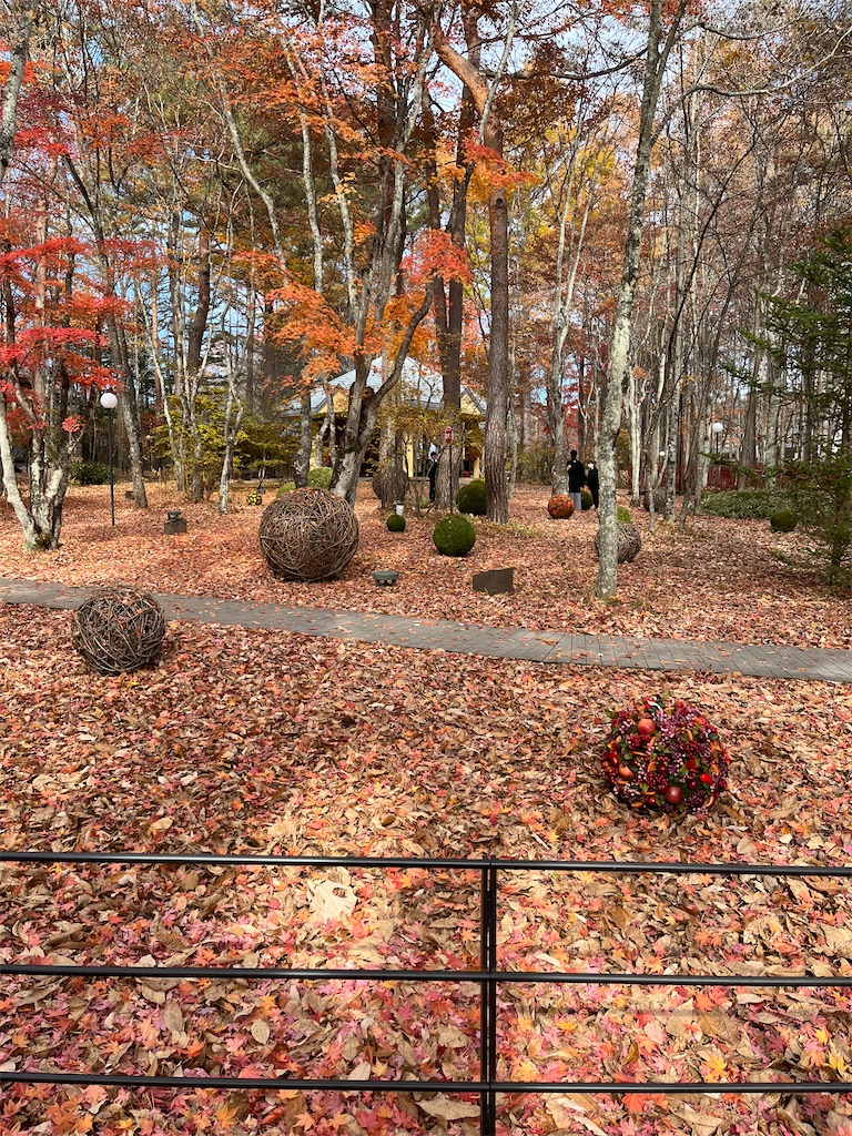 f:id:mnmiso2:20221114160356j:image f:id:mnmiso2:20221114160356j:image