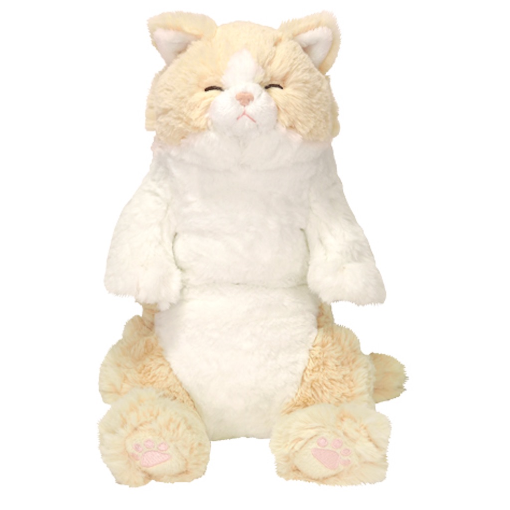 f:id:mnmiso2:20250702173520j:image f:id:mnmiso2:20250702173520j:image