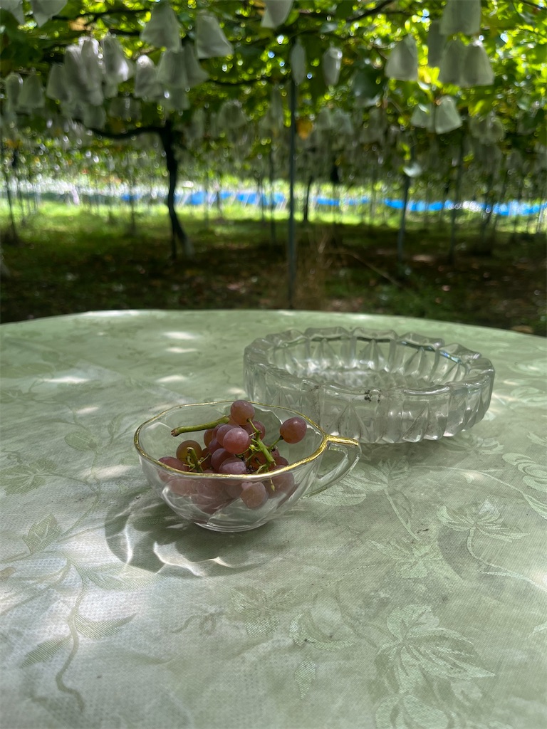 f:id:mnmiso2:20250803160107j:image