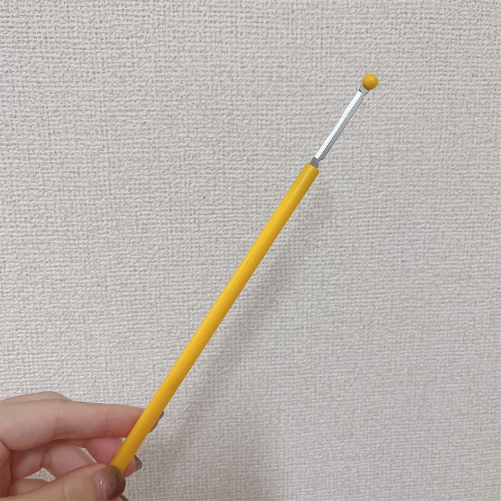 f:id:mnmiso2:20251023132838j:image f:id:mnmiso2:20251023132838j:image