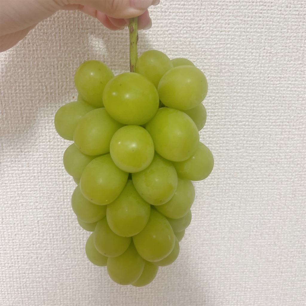 f:id:mnmiso2:20251114185504j:image