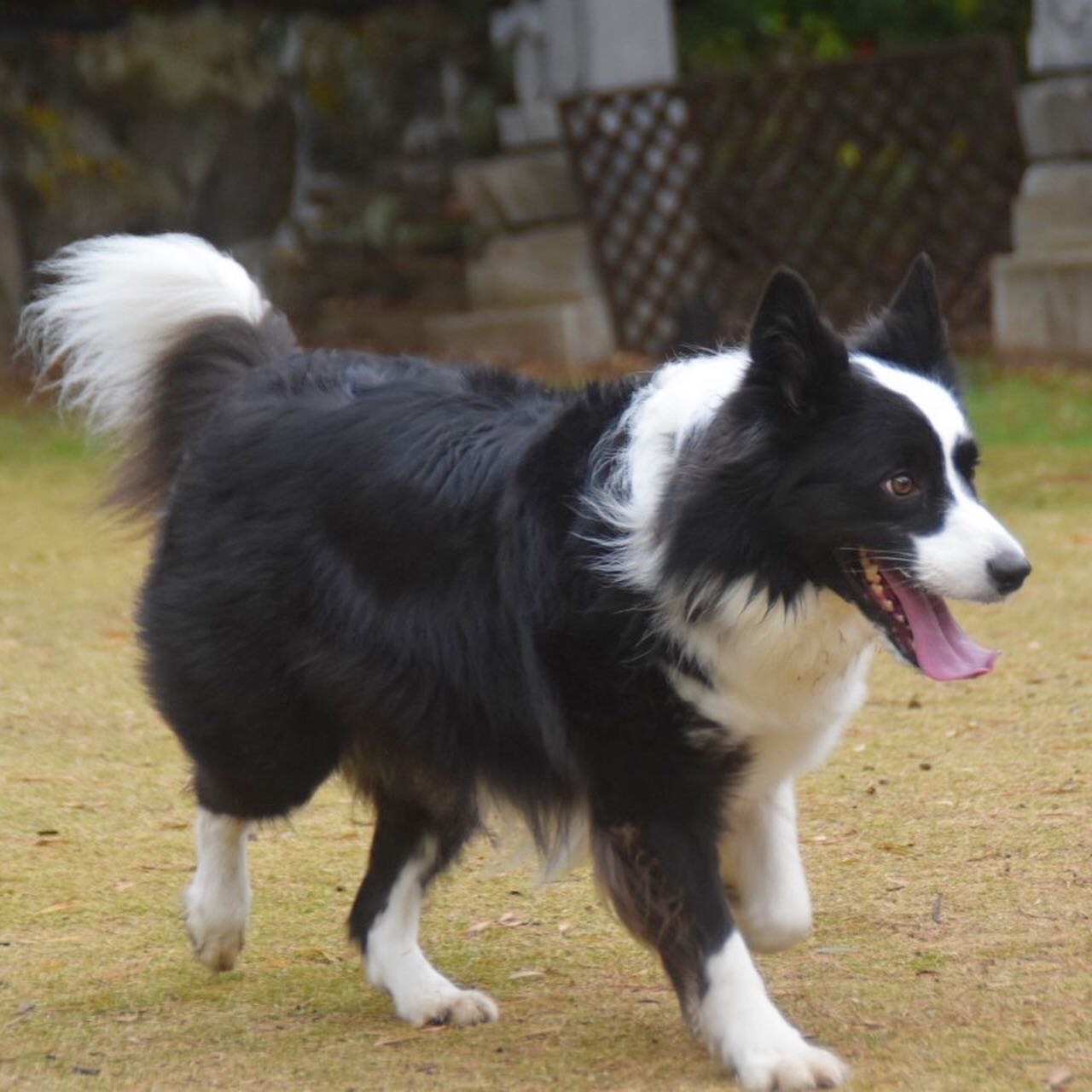 f:id:mnmr12030:20210131000006j:image f:id:mnmr12030:20210131000006j:image
